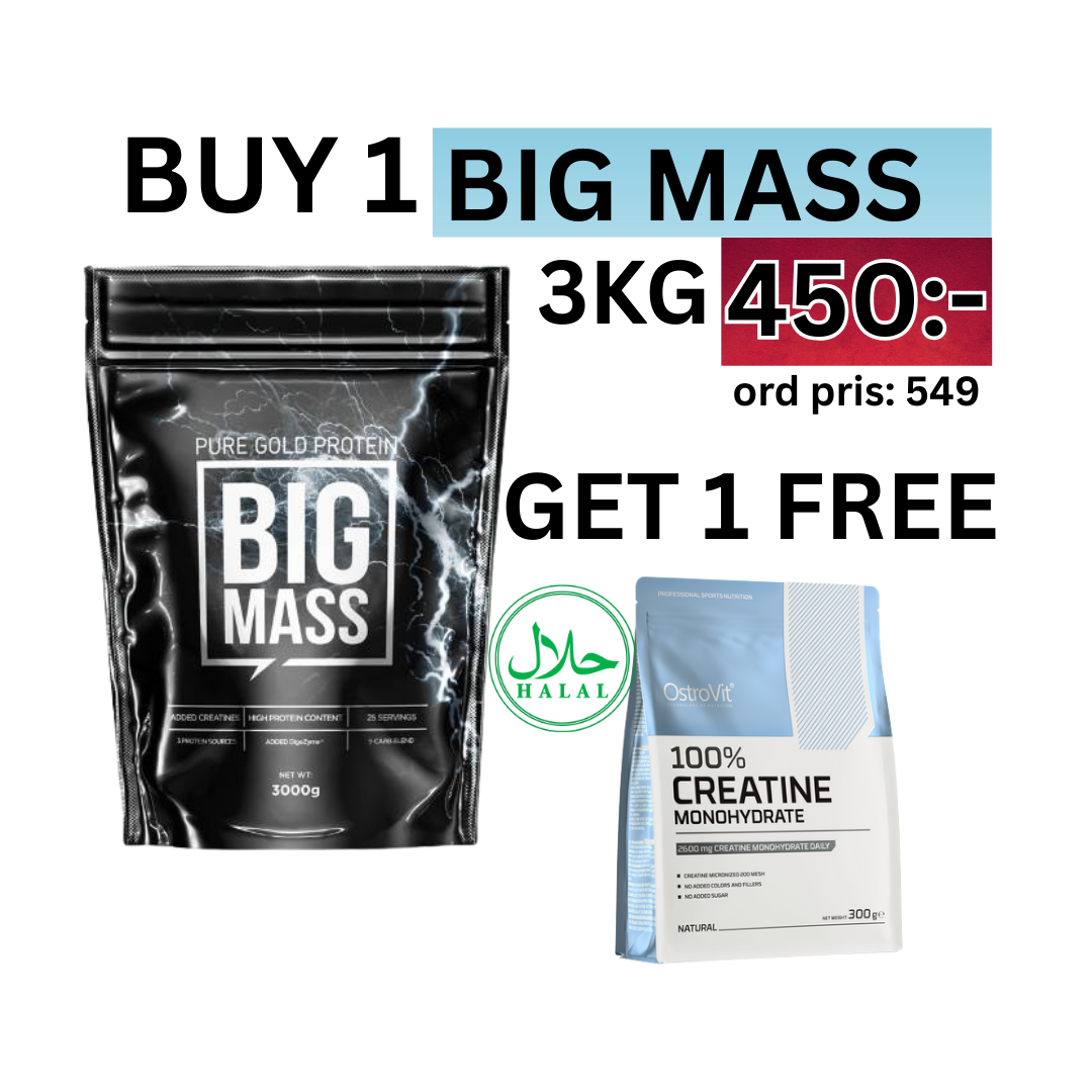 BIG MASS Weight Gainer 3KG + FREE CREATINE MONOHYDRATE 300 g PURE GOLD