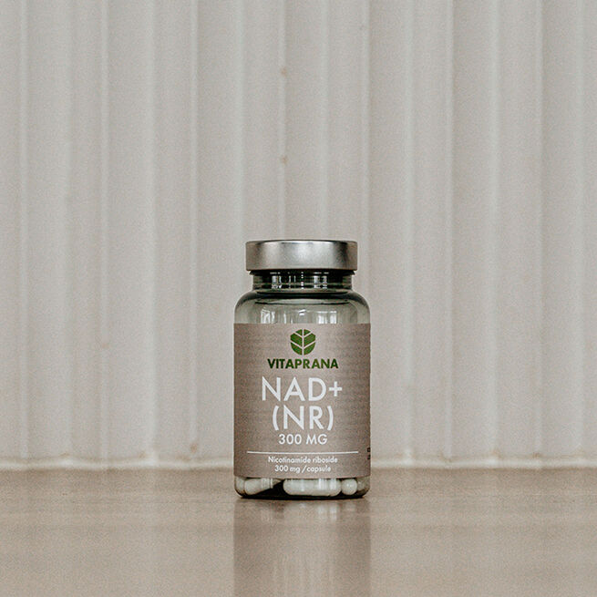 NAD+ 300 mg Nikotinamid Ribosid 30 kapslar
